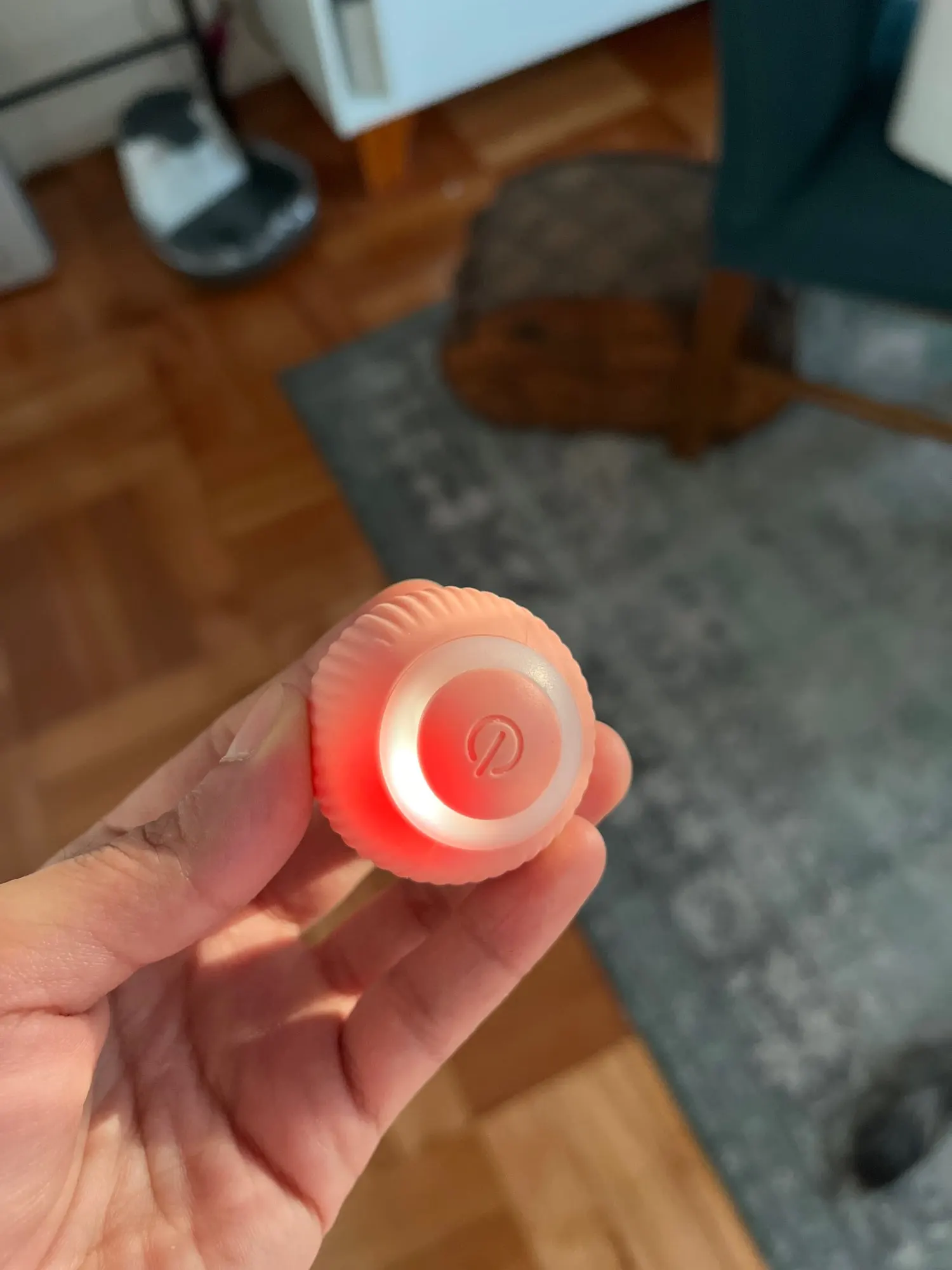 Pet Gravity™ photo review