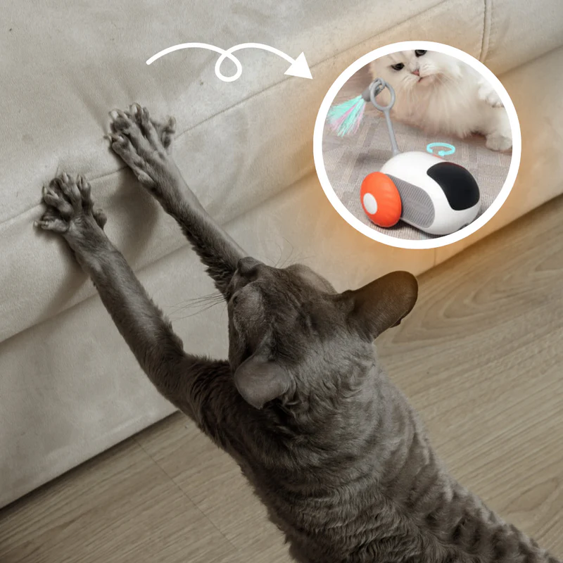 Progetto_senza_titolo_20