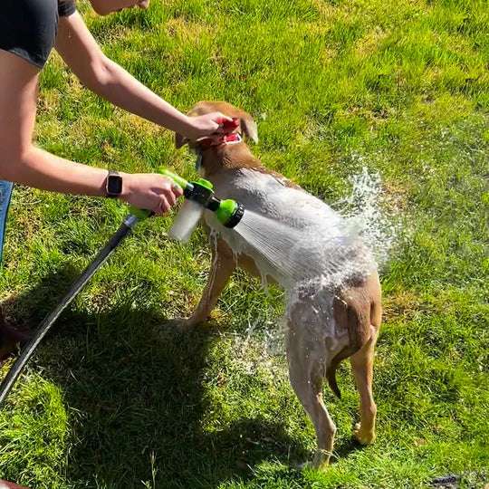pulizia cani bagnoschiuma d'acqua spruzzatore di sapone
