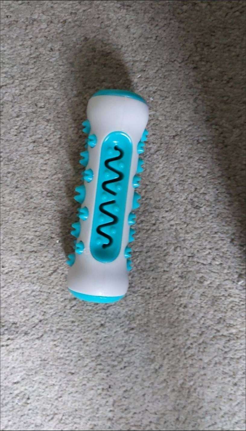 MasticDent™ photo review