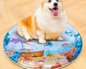 Cuscino Estivo Rinfrescante Cani e Gatti 2