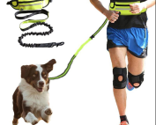 Guinzaglio per cani a mani libere