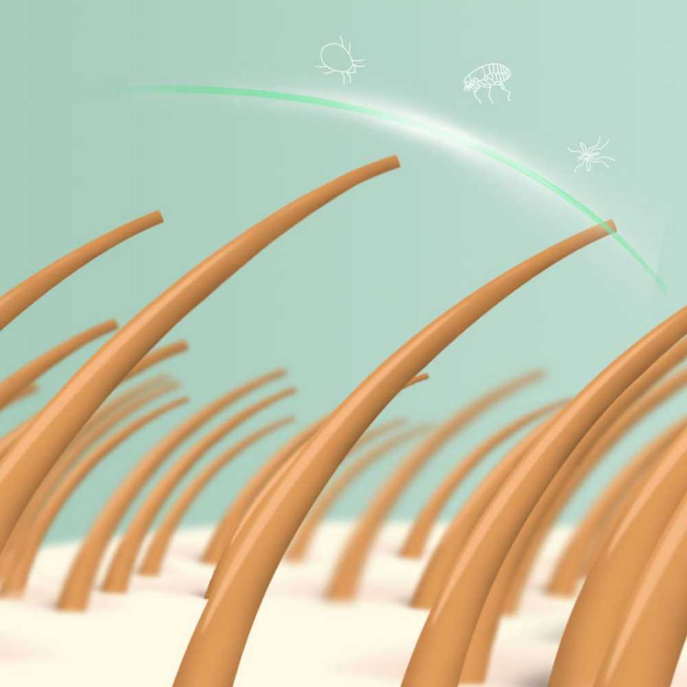 Collare Antipulci - immagine 6