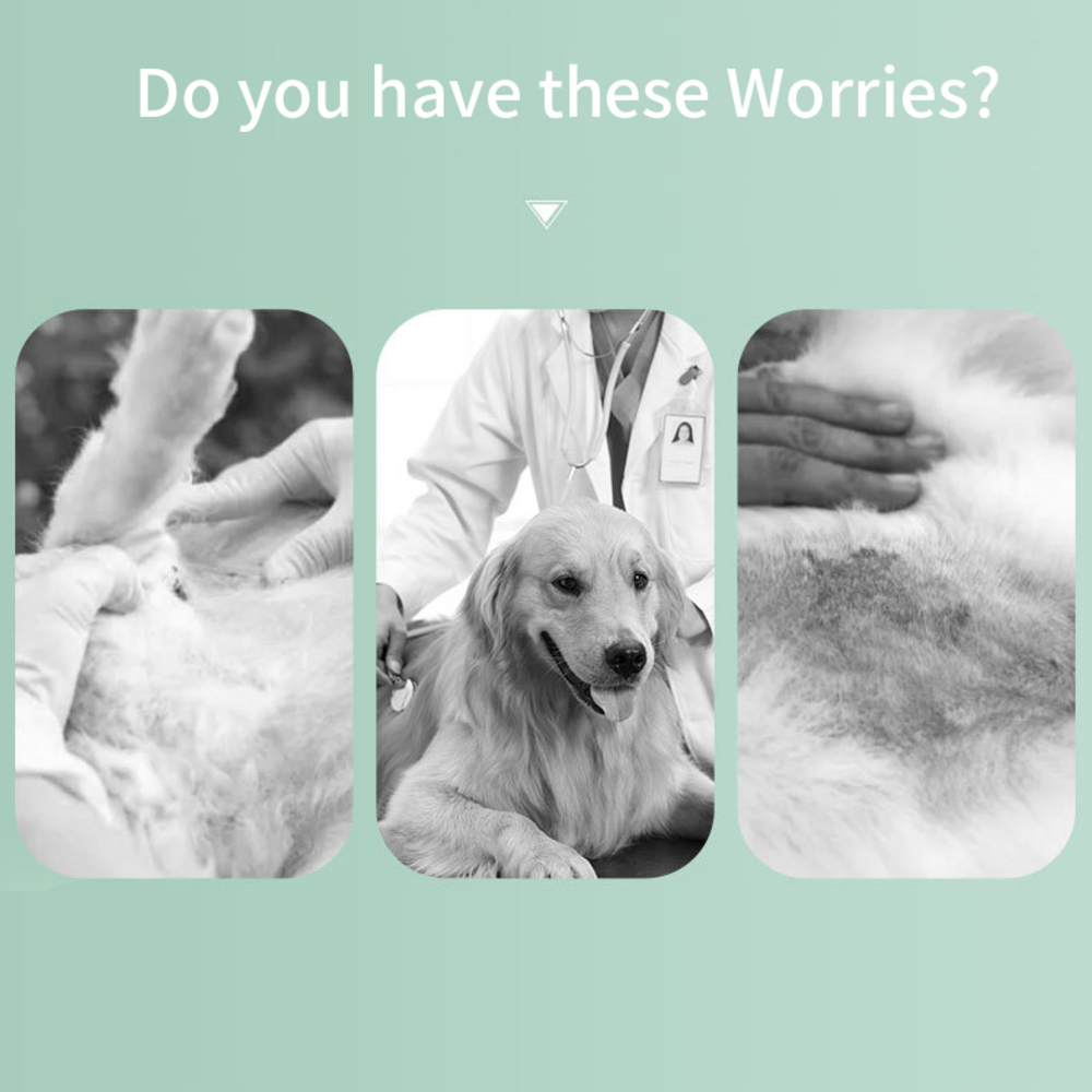 Collare Antipulci - immagine 7