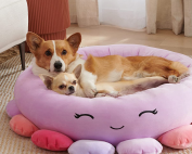 Letto imbottito per animali, Letto per cuccioli