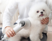 Essiccatore per animali domestici