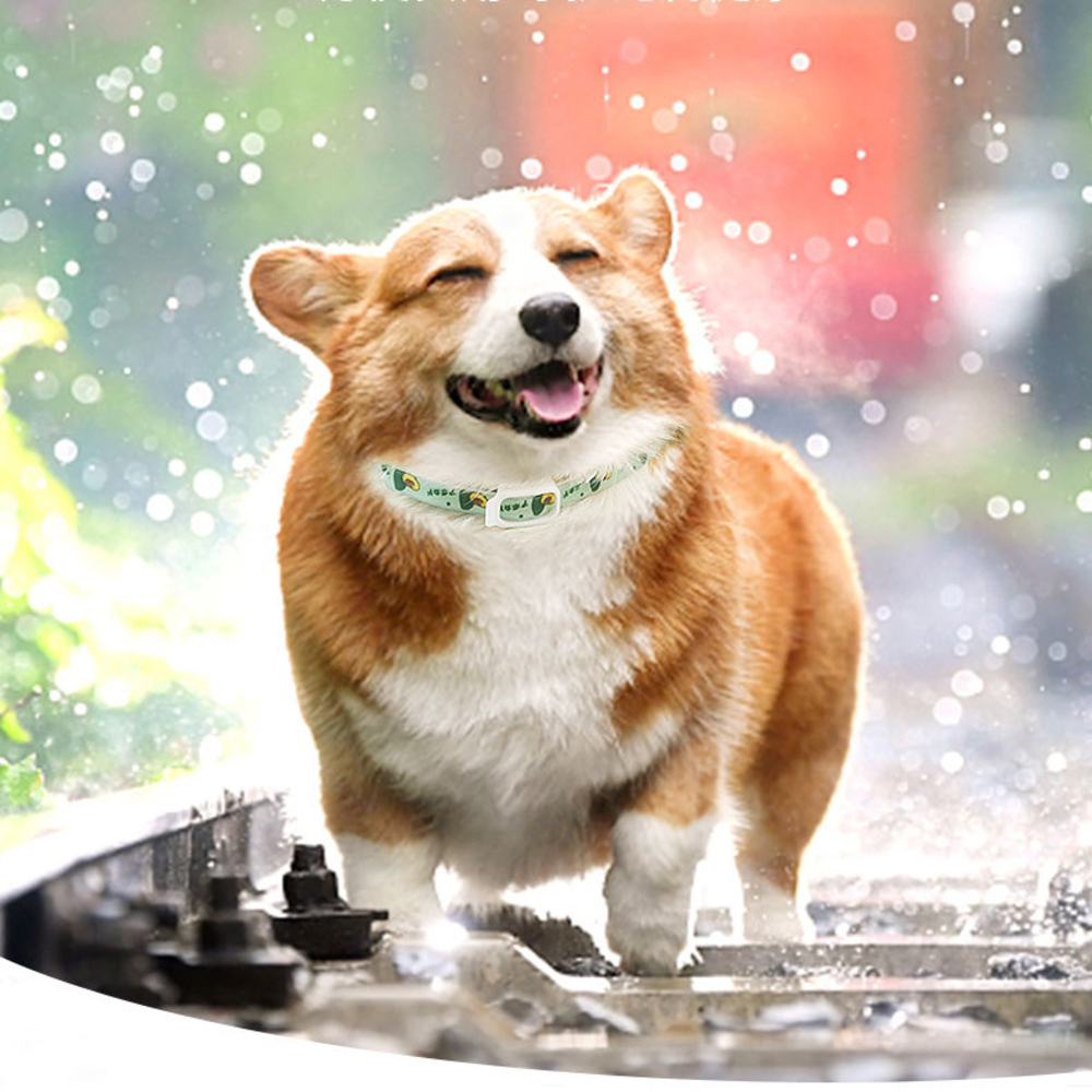 Collare Antipulci - immagine 3