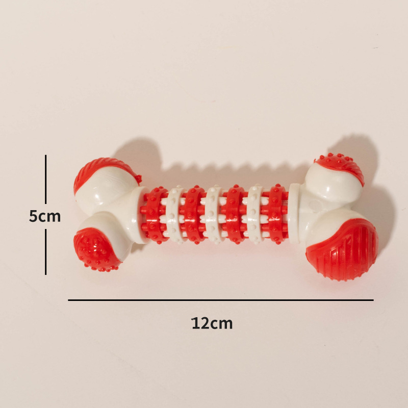 Accessorio per addestramento cani