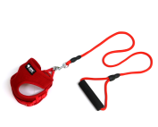 Collare e guinzaglio per cani