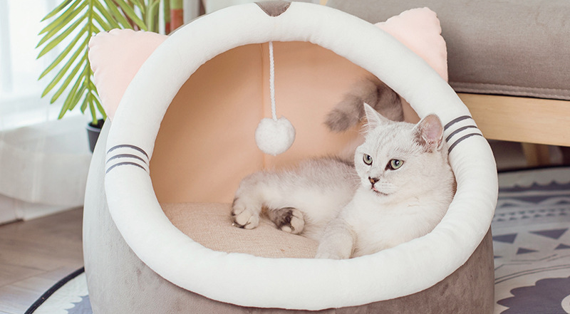 I migliori giochi interattivi per cani che restano soli in casa