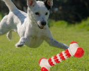 Giocattolo stimolante per cani