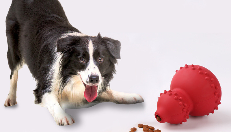 I migliori giochi interattivi per cani che restano soli in casa