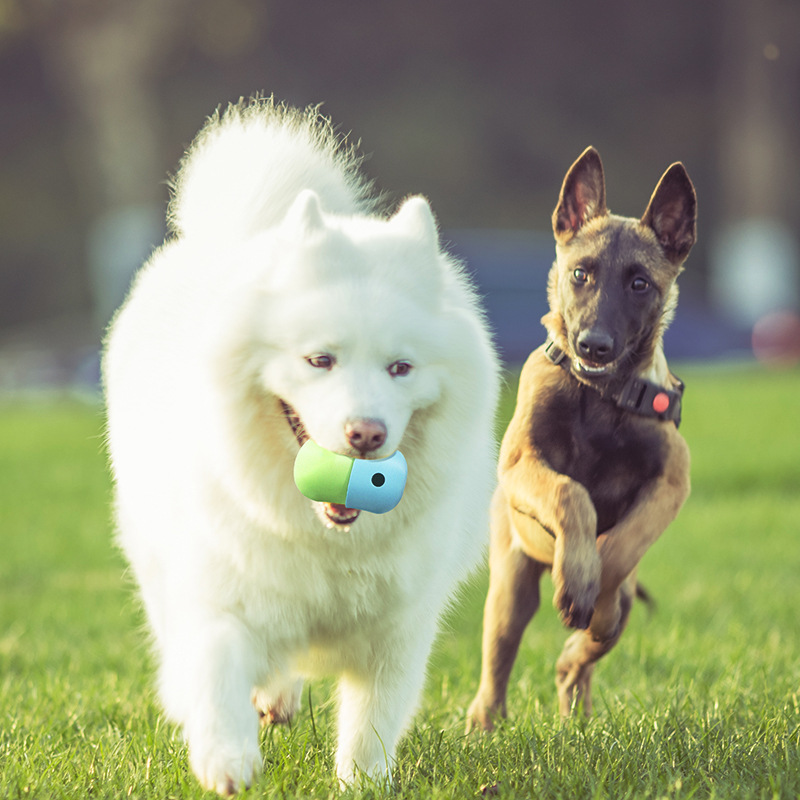 Giocattolo interattivo per cani, Giocattoli per cani resistenti, Giochi stimolanti per cani, Giocattolo per masticare cani, Giochi intelligenti per cani, Giocattolo per la pulizia dei denti cani, Giocattoli per cani piccoli/grandi, Giochi educativi per cani, Giocattolo in silicone per cani, Giocattolo antistress per cani