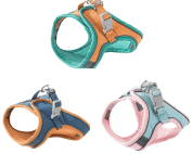 Pettorina e Guinzaglio per Gatti