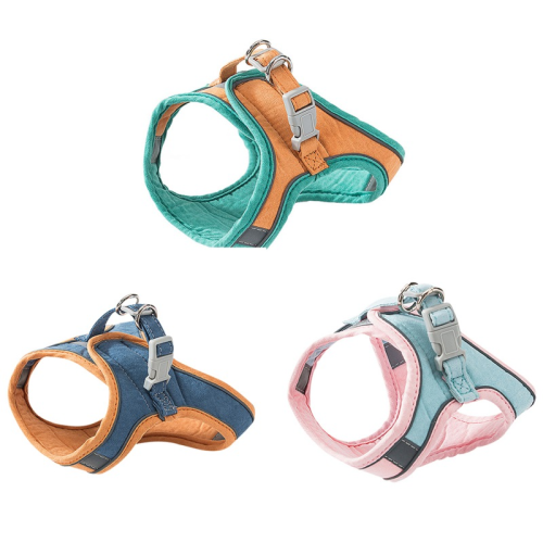 Pettorina e Guinzaglio per Gatti