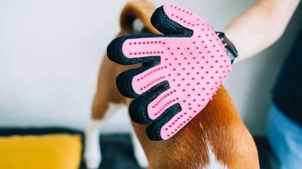 Come Risolvere il Problema del Pelo Sparso in Casa: Guida Completa per Proprietari di Cani e Gatti